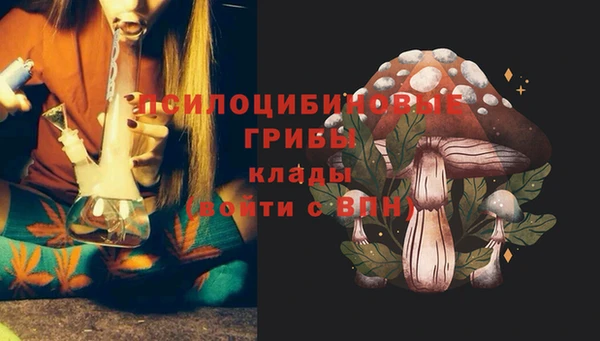 MDMA Беломорск