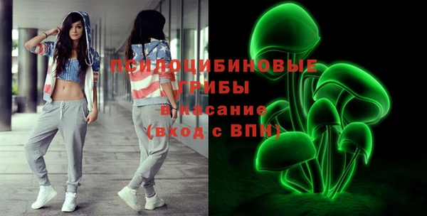 молекула духа Белоозёрский