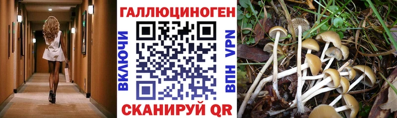 Галлюциногенные грибы ЛСД  Севск 